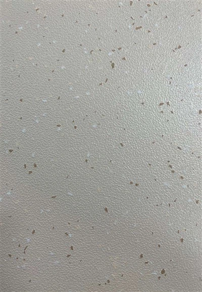 Rulouri de pardoseli PVC pentru transport public